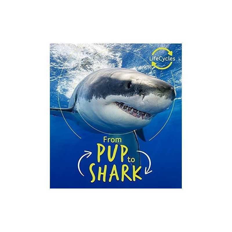 Lifecycles - Pup To Shark, de la Bedoyere, Camilla