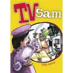 POCKET TALES YEAR 3 TV SAM (POCKET READERS FICTION) by Lewis, Sian Paperback The