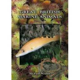 Great British Marine Animals by Naylor, Paul Paperback Book