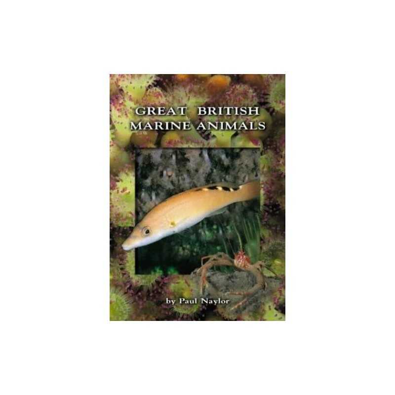 Great British Marine Animals by Naylor, Paul Paperback Book
