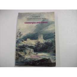 Glamorgan and Gwent (Guide to Ancient & His... by Welsh Historic Monum Paperback