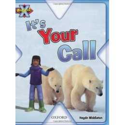 Project X: Dilemmas and Decisions: Its Your Call by Middleton, Haydn Paperback