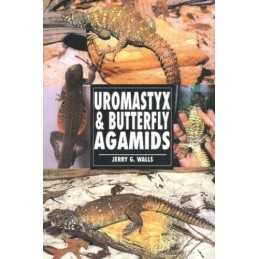 The Guide to Owning Uromastyx and Butterfly Agam... by Walls, Jerry G. Paperback