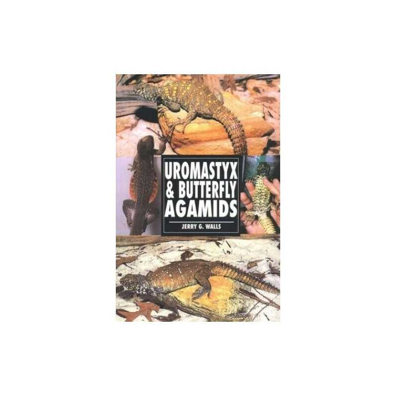 The Guide to Owning Uromastyx and Butterfly Agam... by Walls, Jerry G. Paperback