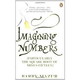 Imagining Numbers: (Particularly the Square Root of... by Mazur, Barry Paperback