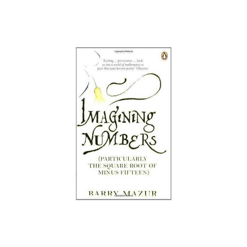 Imagining Numbers: (Particularly the Square Root of... by Mazur, Barry Paperback