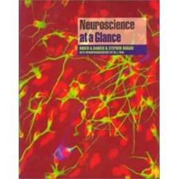 Neuroscience at a Glance by Neal, Michael J. Paperback Book