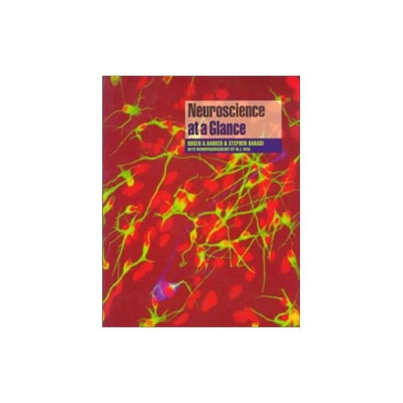 Neuroscience at a Glance by Neal, Michael J. Paperback Book