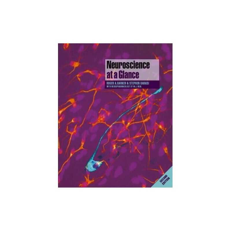 Neuroscience at a Glance by Neal, Michael J. Paperback Book