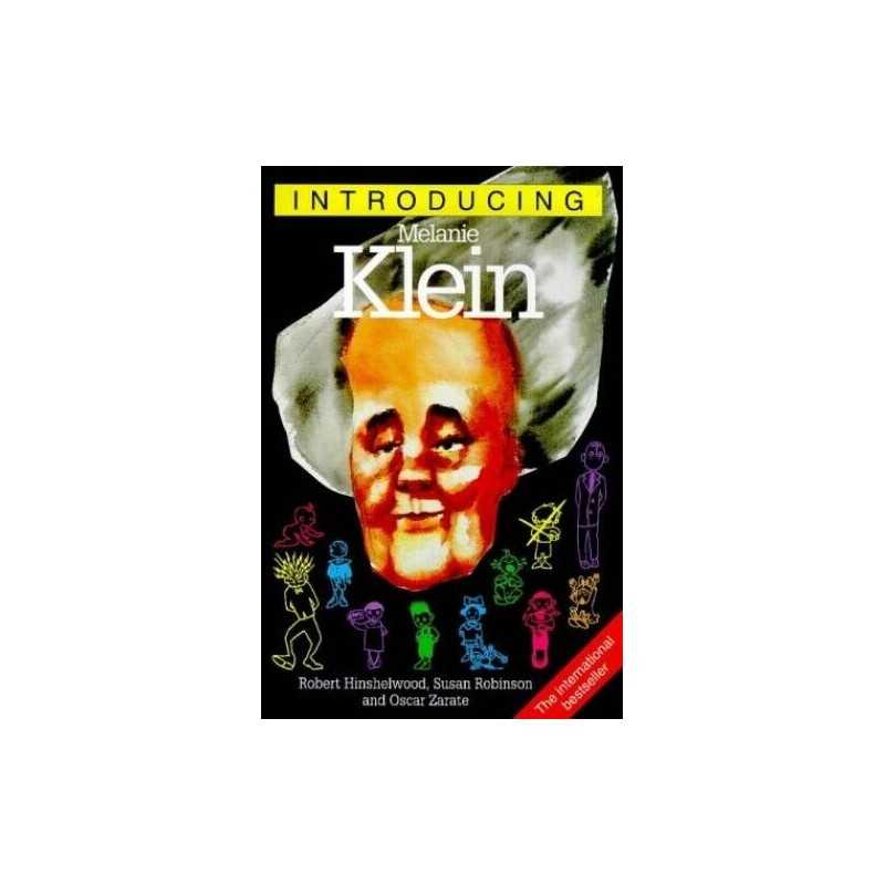 Introducing Melanie Klein by Robinson, Susan Paperback Book