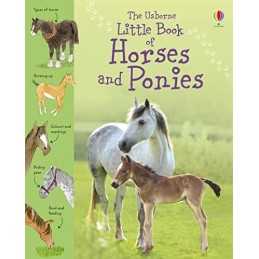 Little Book of Horses and Ponies (Usborne Little Books) by Kahn, Sarah Hardback
