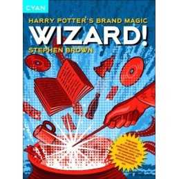 Wizard!: Harry Potters Brand Magic by Stephen Brown Paperback Book