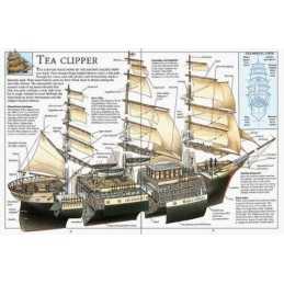 Record Breakers (Look Inside Cross-sections) by Butterfield, Moira Paperback The