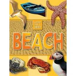 What Can I See?: Beach