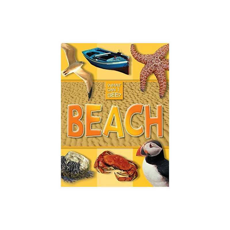 What Can I See?: Beach