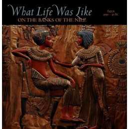 What Life Was Like on the Banks of the Nile: Egyp... by Piccione, Peter Hardback