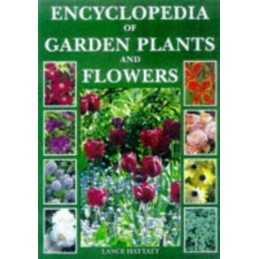 Encyclopaedia of Plants and Flowers by Hattatt, Lance Hardback Book