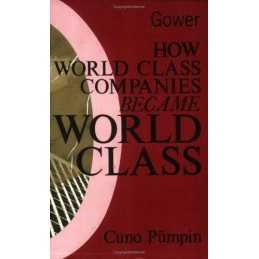 How World Class Companies Became World Class: Studi... by Pumpin, Cuno Paperback