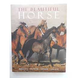 The Beautiful Horse, Swinney, Nicola Jane