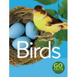 Birds (Go Facts) by McEvoy, Paul Paperback Book