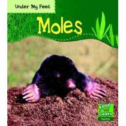 Moles (Read and Learn: Under My Feet), Patricia Whiteho