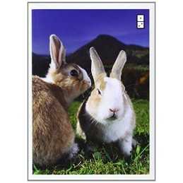 Zarrellas Hierarchy of Contagiousness..., zarrella-dan