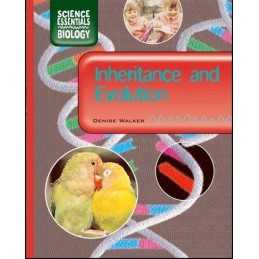 Inheritance and Evolution (Science Essentials - Bi... by Denise Walker Paperback