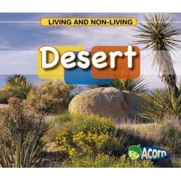 Desert (Living and Non-living), Cassie Mayer