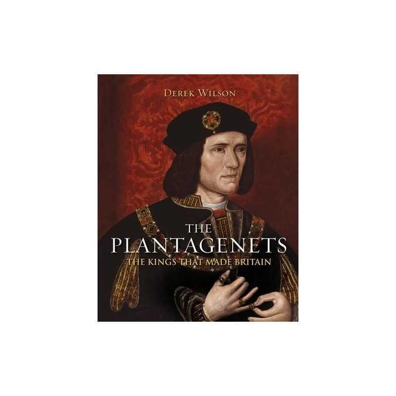 The Plantagenets: The Kings That Made Britain by Wilson, Derek Book