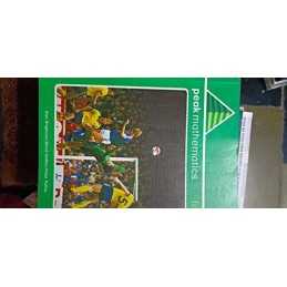 Peak Mathematics: Bk. 5 by etc. Spiral bound Book