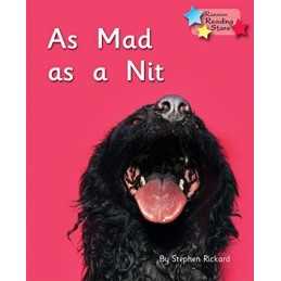 As Mad as a Nit: Phonics Phase 2 (Reading Stars Phonics) by Rickard Stephen The