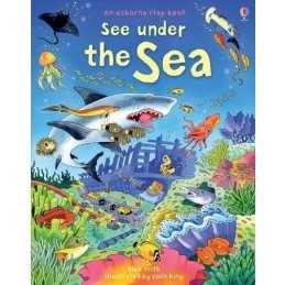 Under the Sea (See Inside): 1 by Davies, Kate Hardback Book