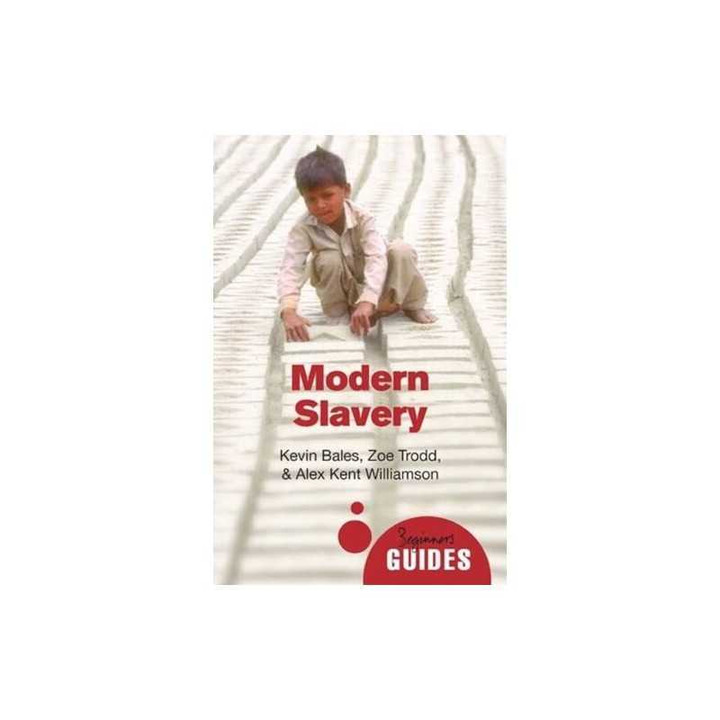 Modern Slavery: A Beginners Guide (Beginne... by Williamson, Alex Ken Paperback