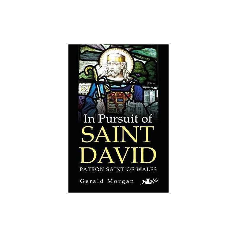 In Pursuit of Saint David: Patron Saint of Wales by Gerald Morgan Book
