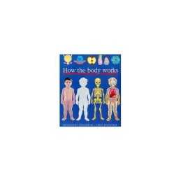 How the Body Works (First Discovery) (First Disco... by Sylvaine Perols Hardback