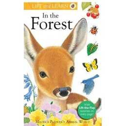 Lift and Learn: In the Forest by Wood, A. J. Book