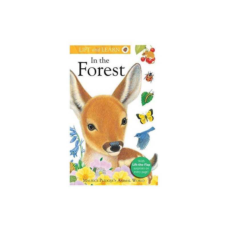 Lift and Learn: In the Forest by Wood, A. J. Book