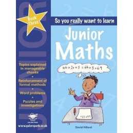 Junior Maths Book 3: A Textbook for Key Stage 2 an... by David Hillard Paperback