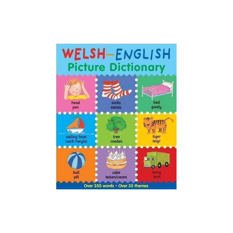 Welsh-English Picture Dictionary by Catherine Bruzzone, Louise Millar Book The