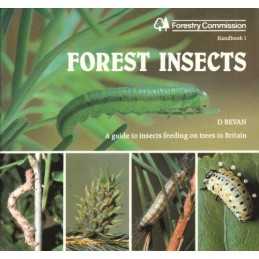 Forest Insects (Handbook Series) by Great Britain: Forestry Commission Paperback