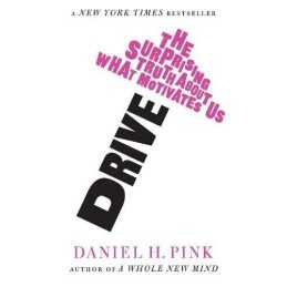 Drive: The Surprising Truth About What Motivates... by Pink, Daniel H. Paperback