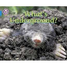 What’s Underground: This book reveals ..., Munton, Gill