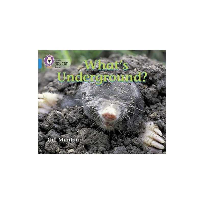 What’s Underground: This book reveals ..., Munton, Gill