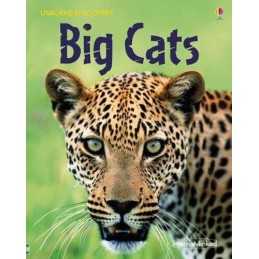 Big Cats (Usborne Discovery) by Stephanie Turnbull Hardback Book  Fast