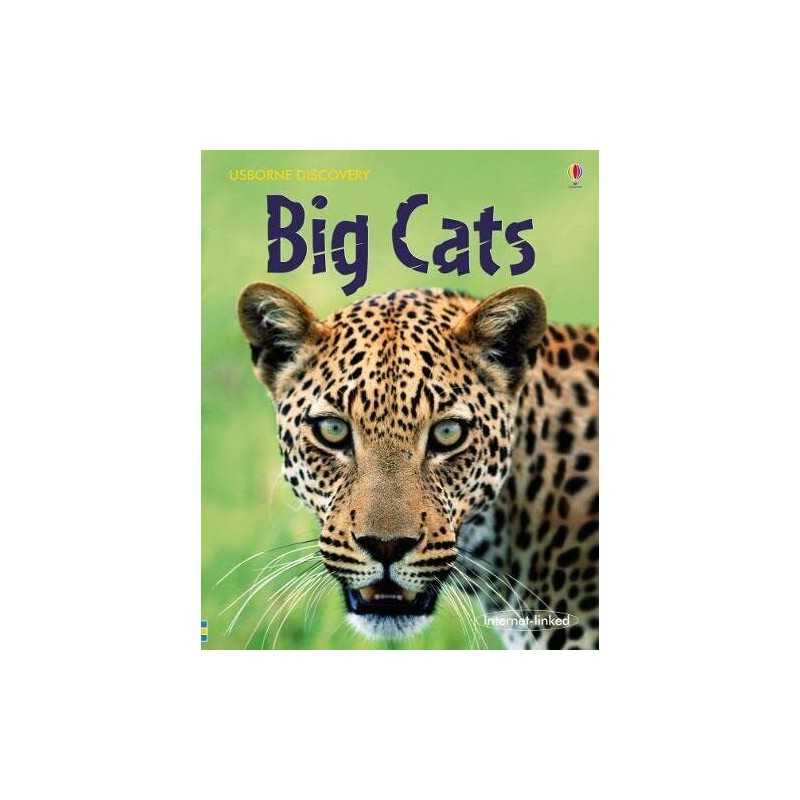 Big Cats (Usborne Discovery) by Stephanie Turnbull Hardback Book  Fast