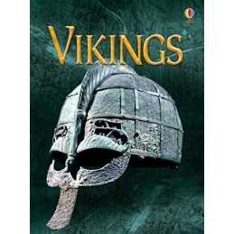 Vikings (Beginners) by Stephanie Turnbull Book