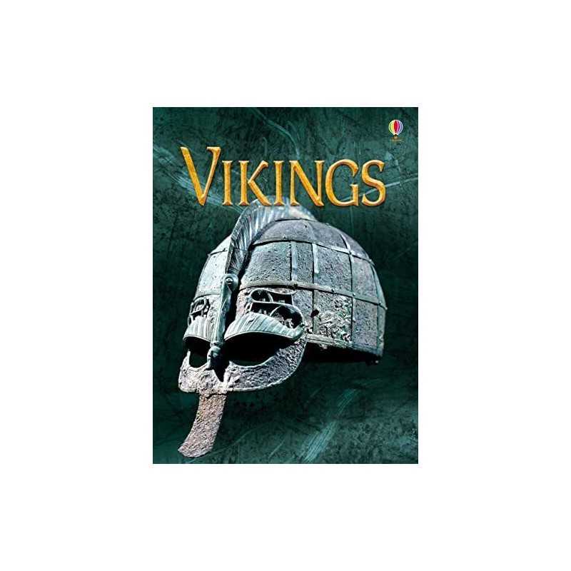 Vikings (Beginners) by Stephanie Turnbull Book
