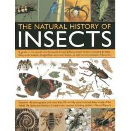 The Natural History of Insects: A Gu..., Martin Walters