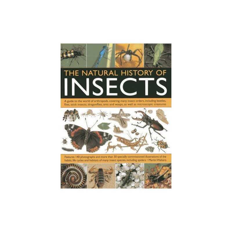 The Natural History of Insects: A Gu..., Martin Walters