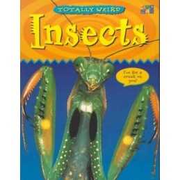 Insects (Totally Weird S.) by Hussein, Iqbal Paperback Book